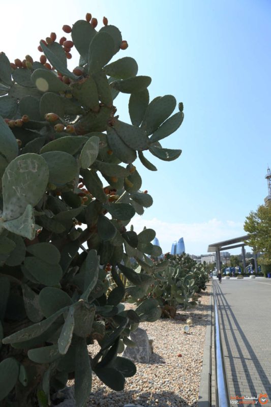 خیابان ساحلی باکو